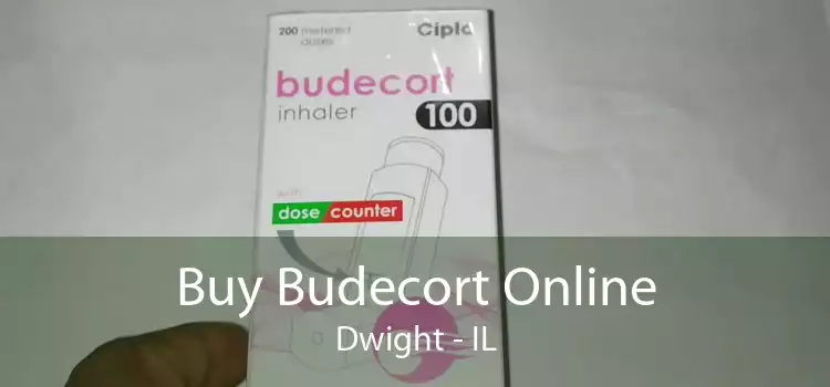 Buy Budecort Online Dwight - IL