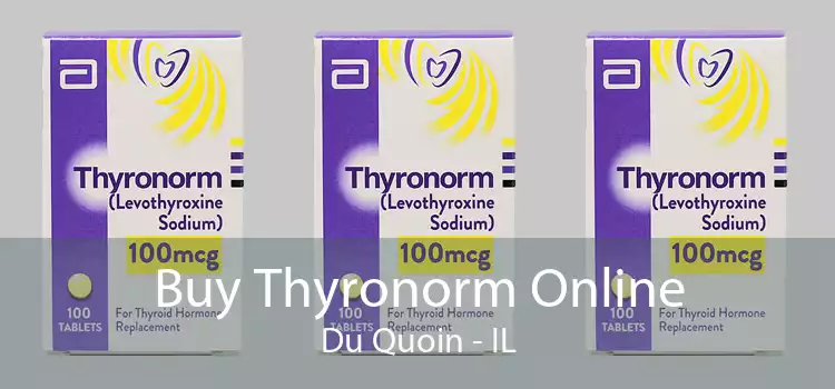 Buy Thyronorm Online Du Quoin - IL